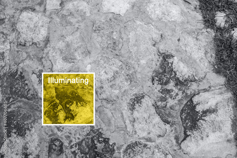 Obraz premium Texture of old rock wall for background. Color of the year 2021