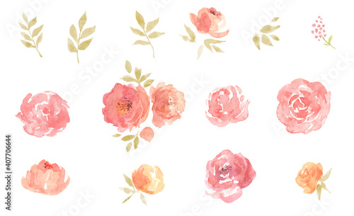 Watercolor floral elements collection  roses  peonies  flowers and leaves set