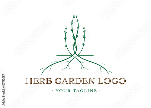 Entwined Herb Logo