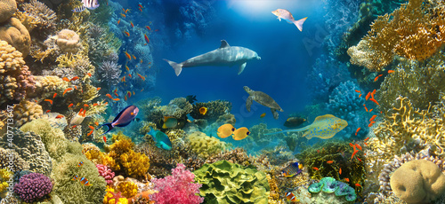 Fototapeta Naklejka Na Ścianę i Meble -  underwater paradise background coral reef wildlife nature collage with shark manta ray sea turtle colorful fish background