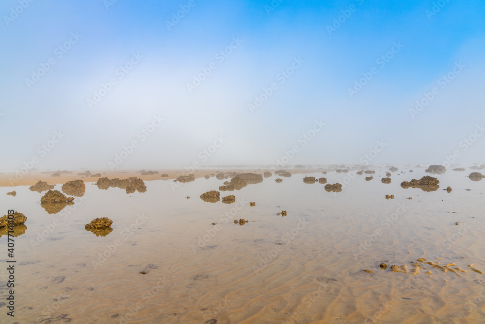 landscape of fog lifting over an endless wadden sea beach at low tide landscape of fog lifting over an endless wadden sea beach at low tide