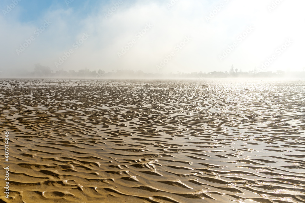 Fototapeta premium landscape of fog lifting over an endless wadden sea beach at low tide