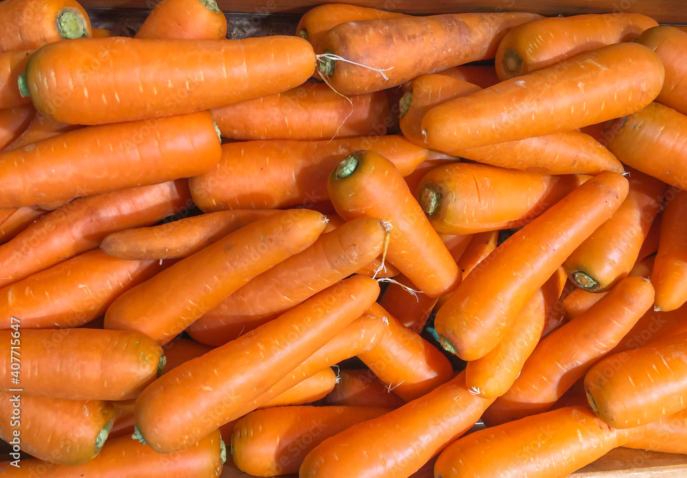 jumbo pile of large carrots background. jumbo pile of large carrots background.