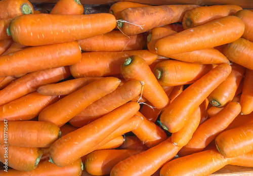 Canvastavla jumbo pile of  large carrots background.