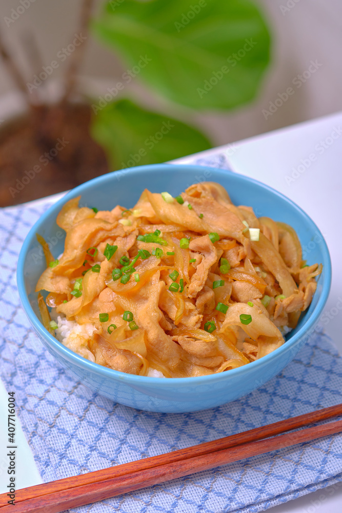 rice topped with pork or pork stew, Japanese food rice topped with pork or pork stew, Japanese food