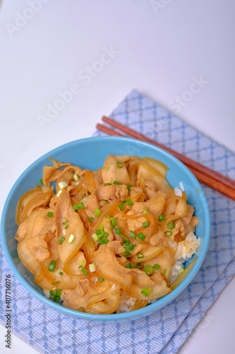 rice topped with pork or pork stew, Japanese food photo