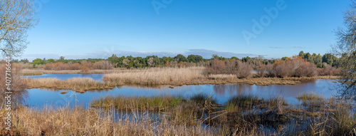Obraz na plátně panorama view of Donana National Park wetlands