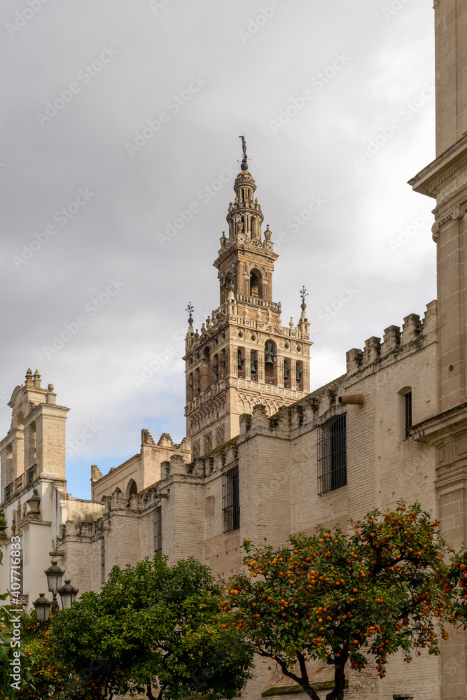 orange trees with the cathedral of Seville in the background