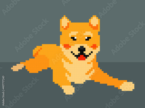 Vector pixel art Shiba Inu dog isolated on gray background.
