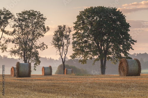 Fototapeta Naklejka Na Ścianę i Meble -  View of the Masurian fields.