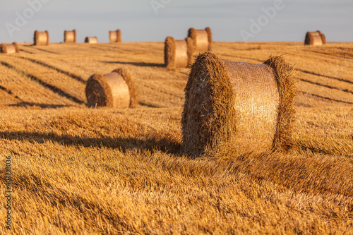 Fototapeta Naklejka Na Ścianę i Meble -  View of the Masurian fields.