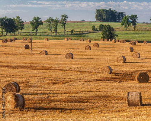 Fototapeta Naklejka Na Ścianę i Meble -  View of the Masurian fields.