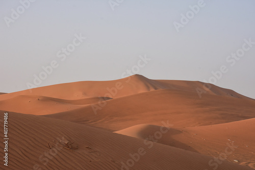 Waves of sand dune in Al Ain desert  UAE