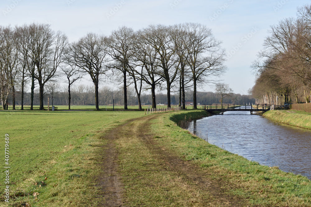 Canal side view of a peaceful scene with tall leafless trees crossing the horizon Canal side view of a peaceful scene with tall leafless trees crossing the horizon