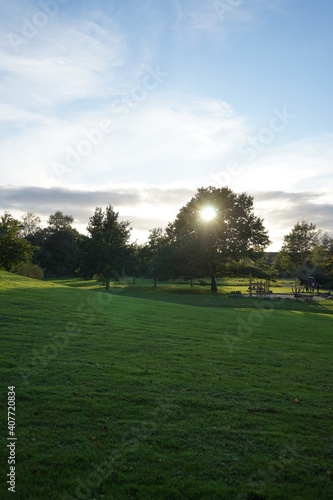 in a park in Bielefeld with lots of trees in January 2021