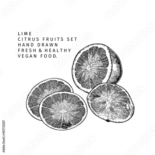 Hand drawn lime fruit slices. Engraved vector illustration. Sour citrus exotic plant. Summer harvest, jam or cocktail vegan ingredient. Menu, package, cosmetic, food design. © logaryphmic