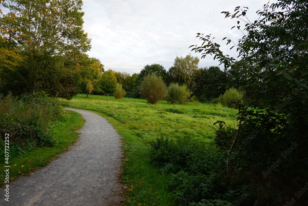 Fototapeta premium a park landscape with lush meadows