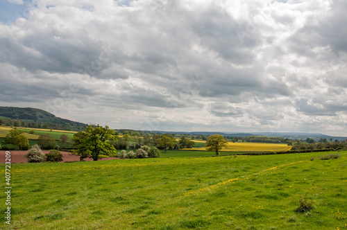 Countryside landscape in Herefordshire, England.