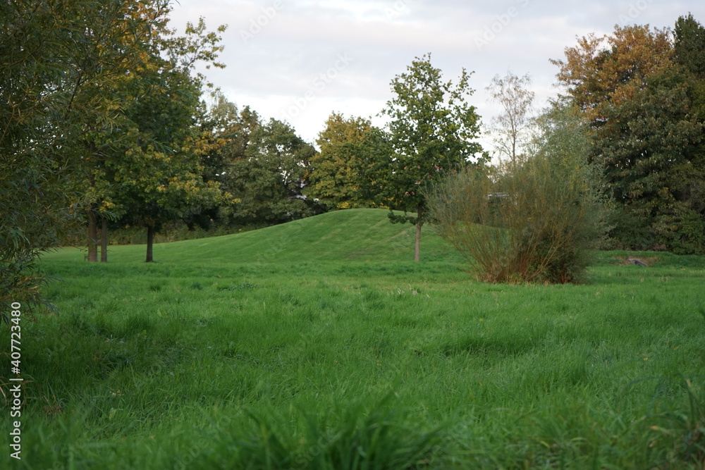 a park landscape with lush meadows a park landscape with lush meadows