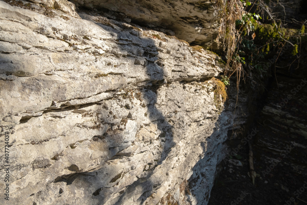 Surface of a limestone rock with rough texture in the forest as a background