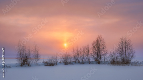 trees  on the shore of Lake Vuoksa against the background of a winter sunset in the Leningrad region © Lana Kray