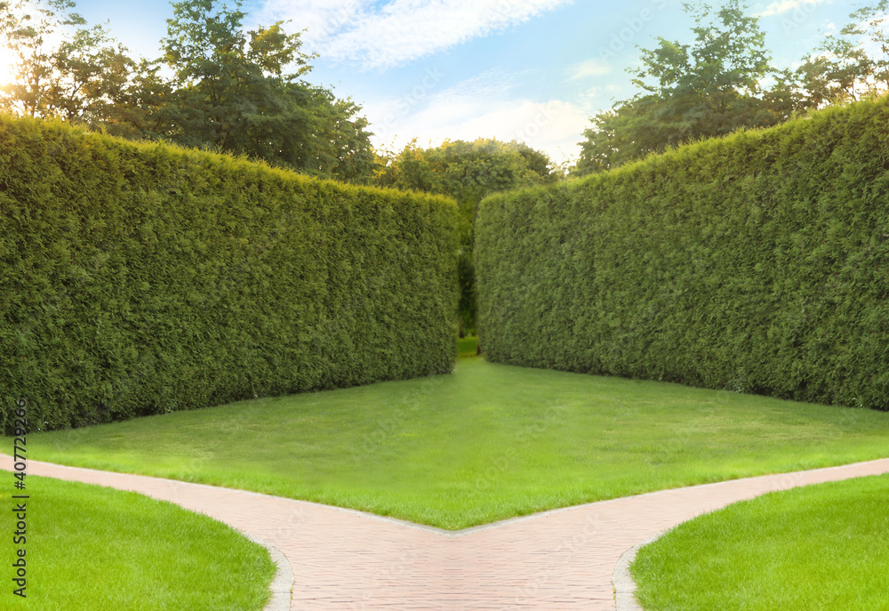 Choosing way. Brick path in garden on sunny day - obrazy, fototapety, plakaty 