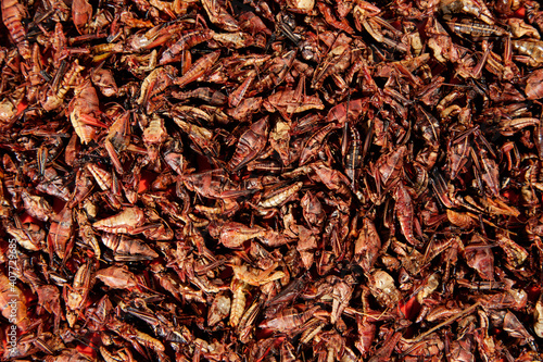 grasshoppers chapulines background. Traditional mexican food