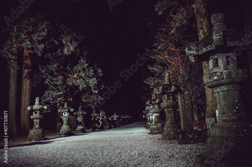 2021年1月1日 元旦 北口本宮冨士淺間神社