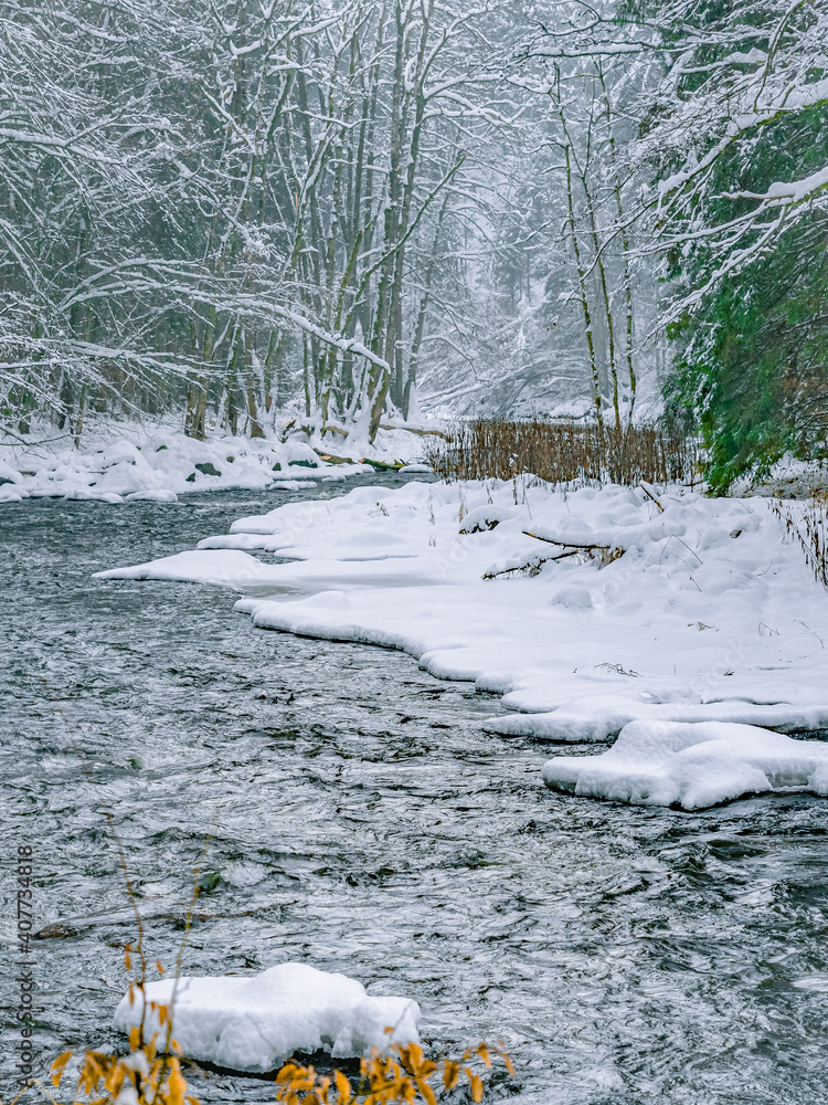 Fototapeta premium The frozen ilztal