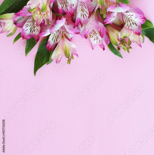 A delicate spring bouquet with pink astromeria flowers on a light pink background. Background for a greeting card. photo