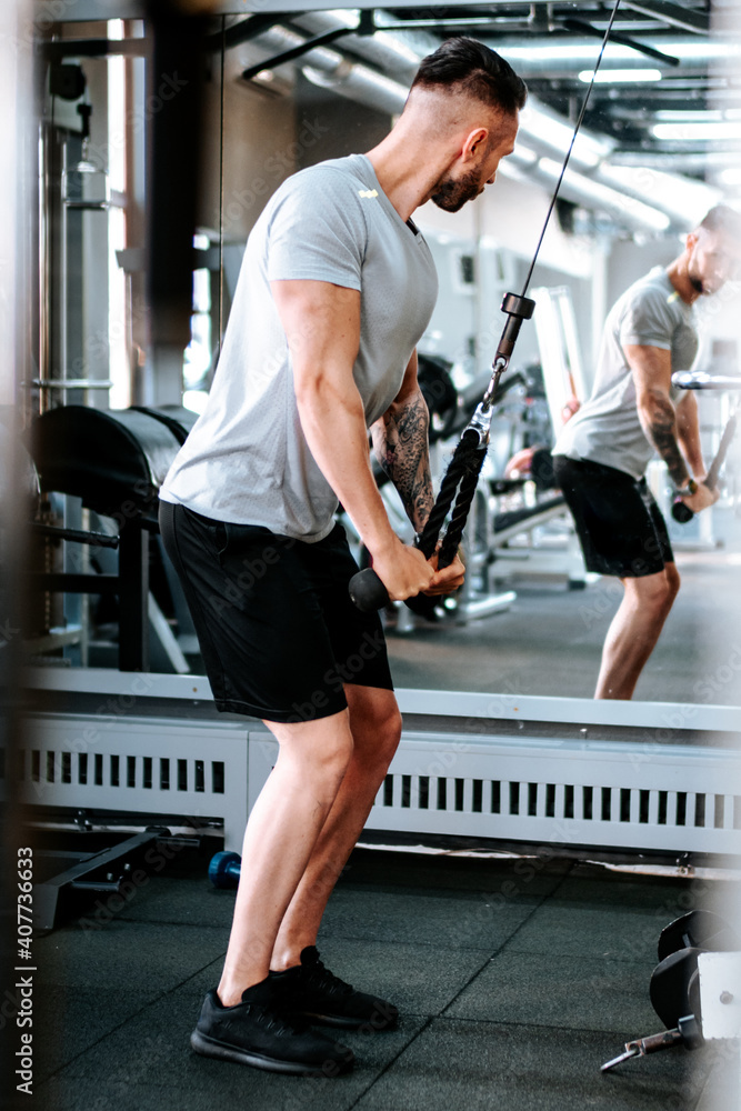 Handsome fitness model working out in the gym. Arms biceps and triceps workout. Handsome fitness model working out in the gym. Arms biceps and triceps workout.