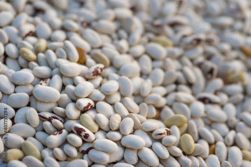 Shelled ripe seeds of kidney bean on heap. Pile of dry raw seeds of haricot (Phaseolus vulgaris) as natural background. Macro close-up. Organic farming, healthy food, BIO viands, back to nature. Shelled ripe seeds of kidney bean on heap. Pile of dry raw seeds of haricot (Phaseolus vulgaris) as natural background. Macro close-up. Organic farming, healthy food, BIO viands, back to nature.