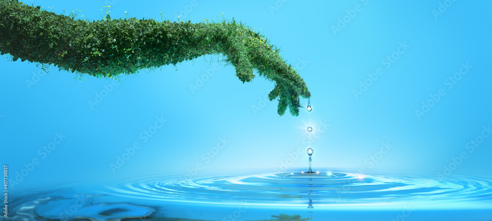 Fototapeta Water preserve concept, nature in shape of human hand dropping a water drop with rings and small splash