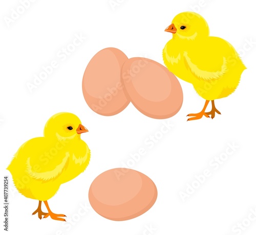 Chickens and eggs. Easter eggs and yellow chickens
