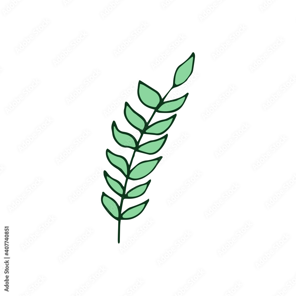 Forest leaves hand drawn vector. autumnal garden leaf Isolated on white background. Botanical forest plants or september october tree foliage