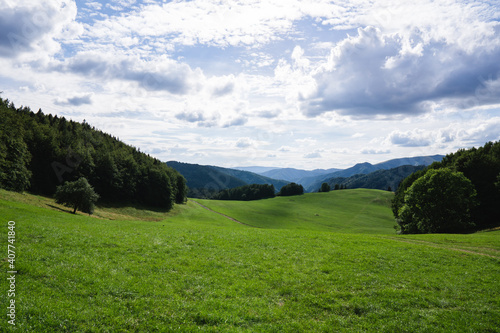 Fresh green meadows of the Low Tatras
