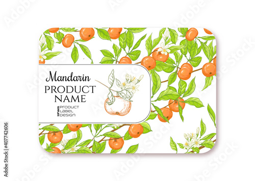 Mandarin. Ripe citrus. Template for product label, cosmetic packaging. Easy to edit. Graphic drawing, engraving style. Vector illustration.