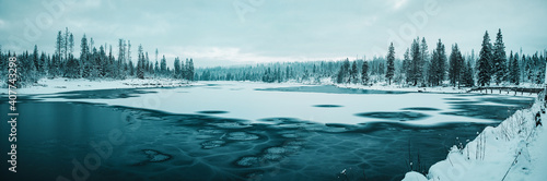Beautiful winter mountain scene of a frozen lake and nature. Dramatic snow nature with dramatic weather vibes. Oderteich, Harz National Park in Germany © Ricardo