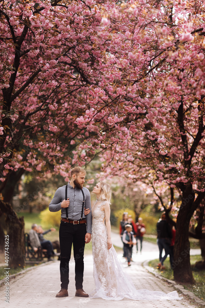 Beautiful, cheerful and lively newlyweds, groom and bride are hugging near the blooming pink cherry blossom. Wedding portrait of a close-up of a smiling bearded groom and a cute bride.