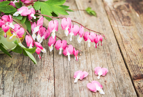 Bouquet of pink flowers. Heart-shaped flowers. Bleeding heart flowers (Dicentra spectabils). Vintage floral background.
