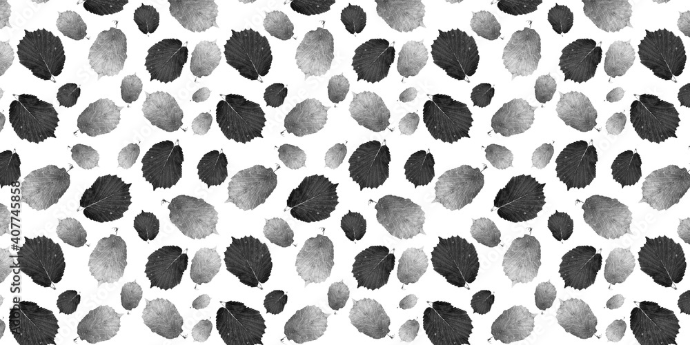Leaf border (banner). Black and white leaves on a white background. The leaves are real, not painted. Leaves pattern. Leaf border (banner). Black and white leaves on a white background. The leaves are real, not painted. Leaves pattern.