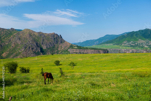 Beautiful landscape with green field and mountains  Armenia