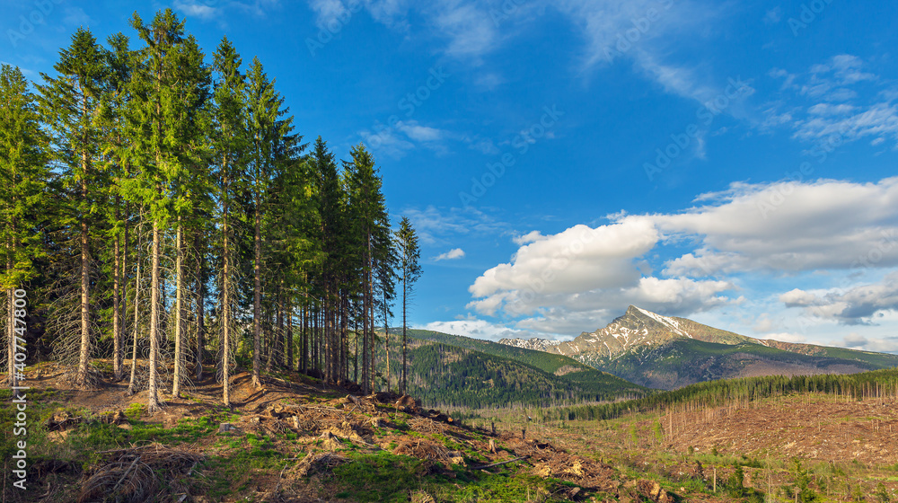 Hill Krivan (2494m),symbol of Slovakia in High Tatras mountains, Slovakia