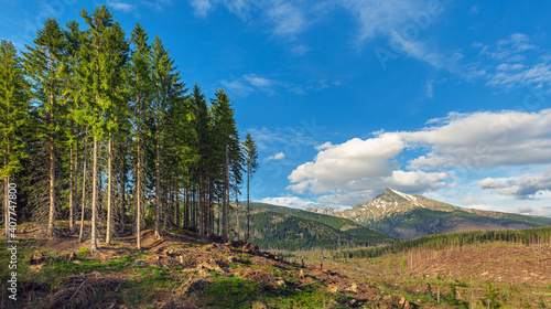 Obraz na płótnie Hill Krivan (2494m),symbol of Slovakia in High Tatras mountains, Slovakia w salonie