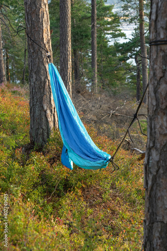 Hammock relax in forest in the morning.