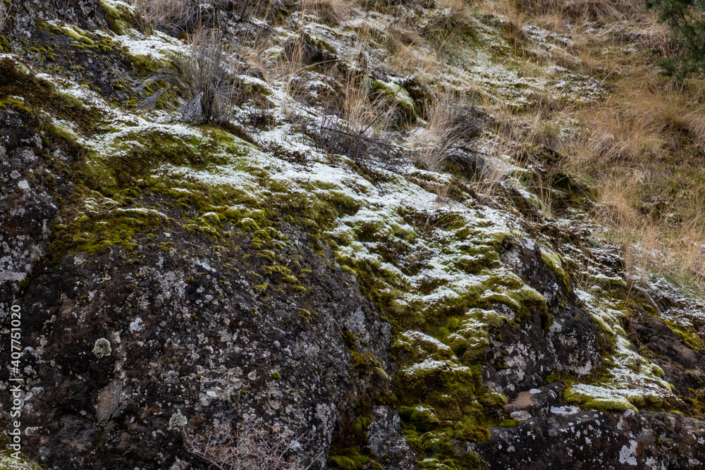 moss and snow on rocks moss and snow on rocks