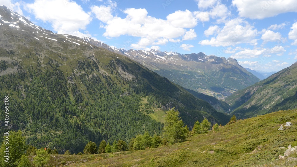 Almhöhe und Weide in den Alpen Almhöhe und Weide in den Alpen