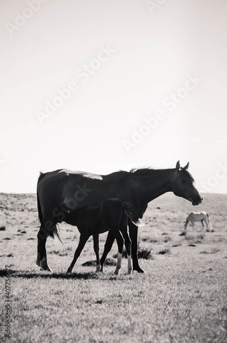 Mother and child photo