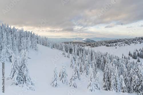 Mountain winter snow landscape. Wonderful view on the mountain. Fir trees under the snow. High quality photo