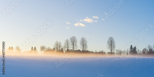 Trees in mist by a field at winter.